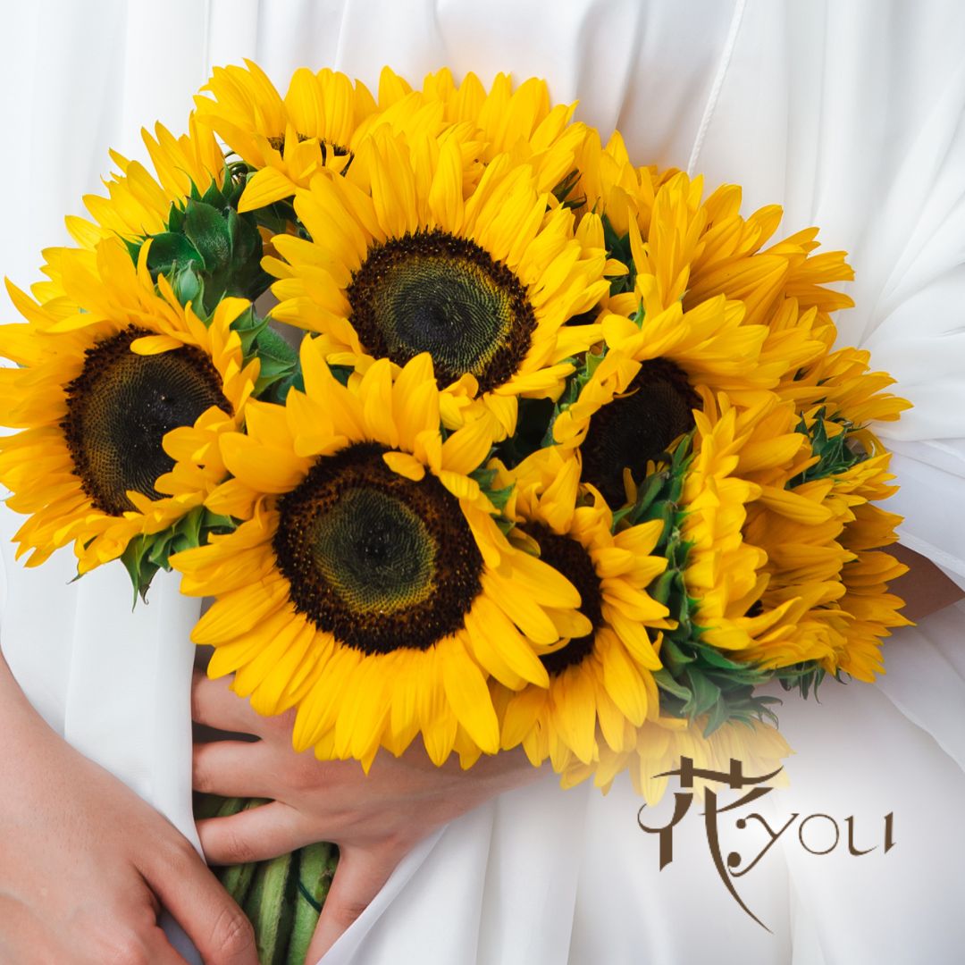 【暑い季節もおうちで長く楽しめる花・その1】 | ～花youブログ～